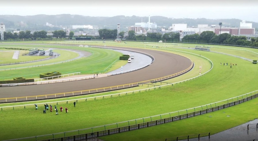 東京競馬場