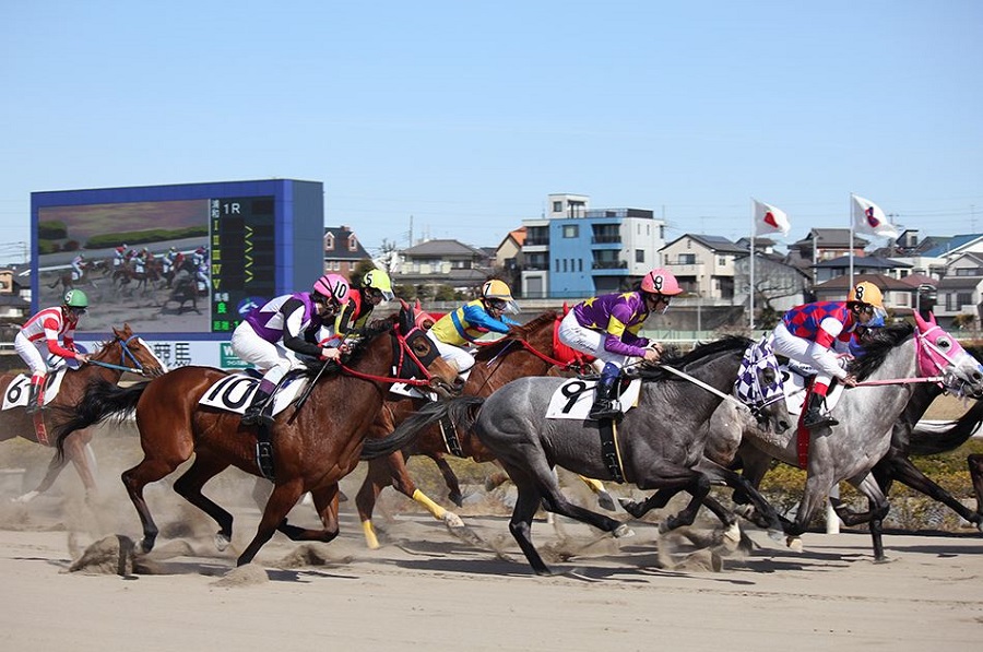 浦和競馬場