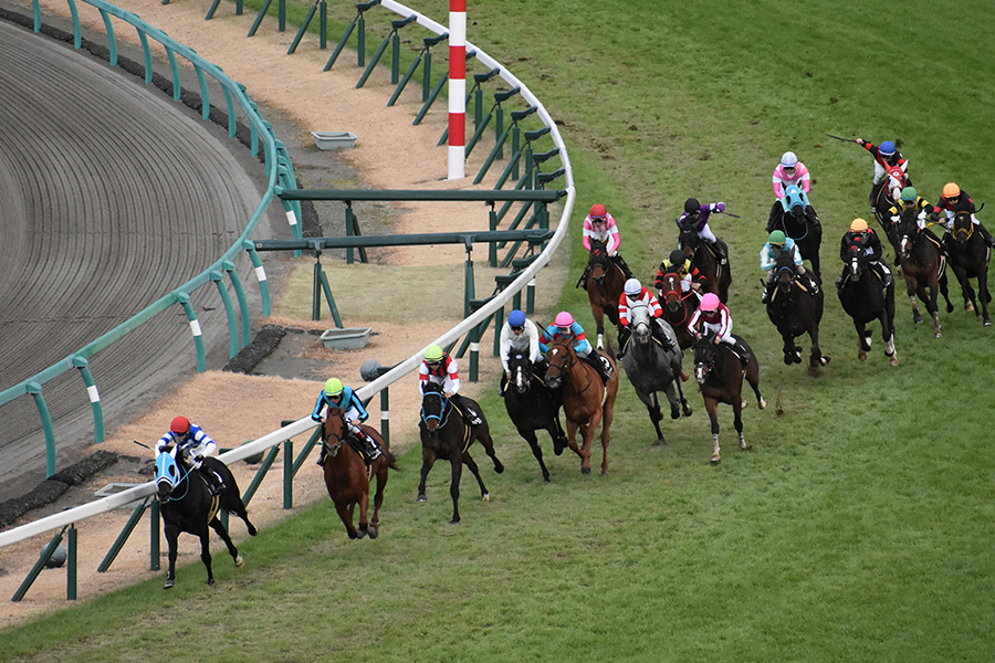 スプリンターズステークスの予想に役立つデータを紹介！過去の傾向や要注目馬を解説！