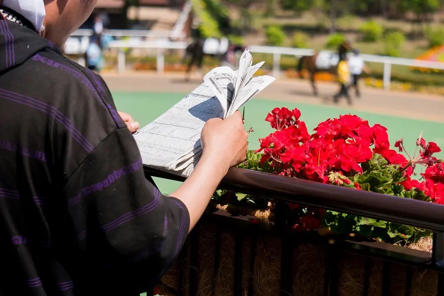 スポーツ新聞や競馬新聞を情報収集の手段に用いる人は未だに多い