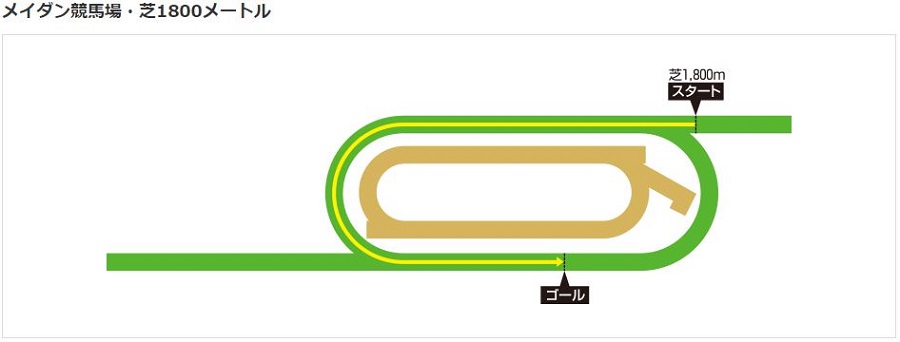 メイダン競馬場芝1800m