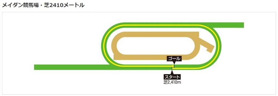 メイダン競馬場芝2410m