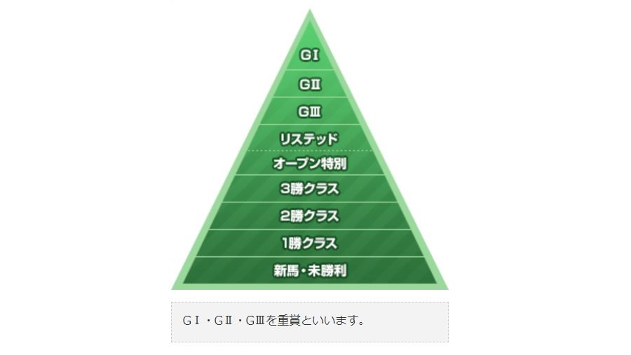 レースのクラス分け