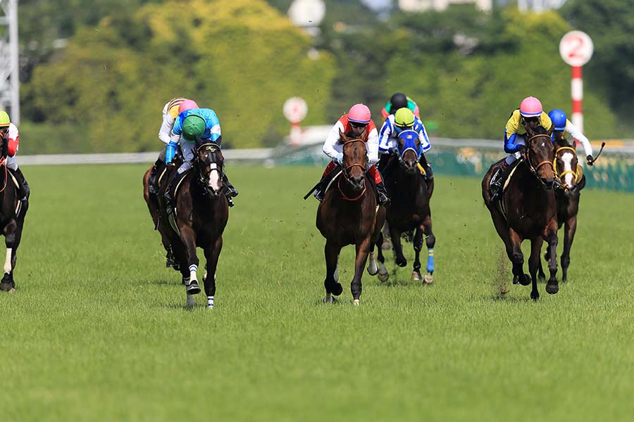 中央競馬が開催される競馬場のコース特徴を解説！