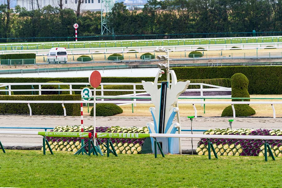 京都競馬場のコース特徴や傾向データを調査！初心者でも勝てる攻略法！