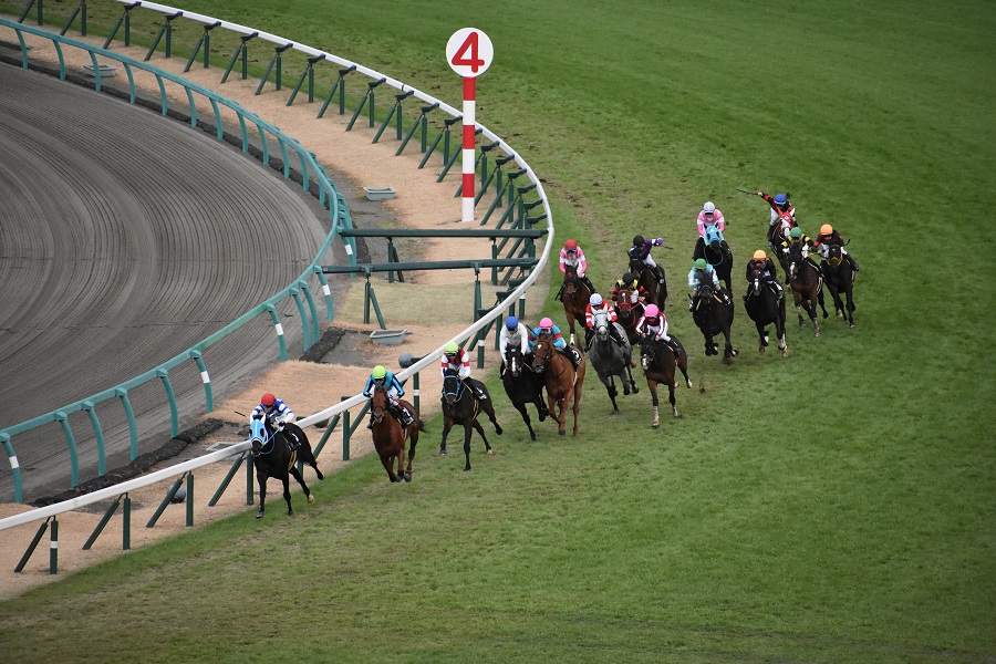 右回りの競馬場　中山競馬場