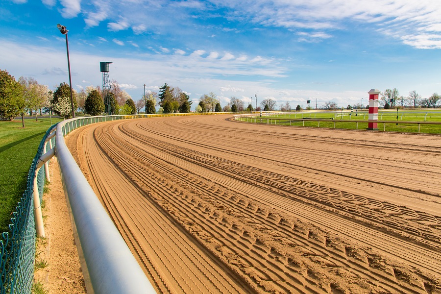 園田競馬場のコース特徴や傾向データを調査！初心者でも勝てる攻略法！