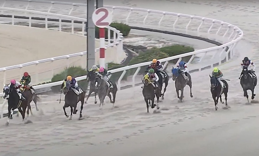 園田競馬場　コース全体の特徴