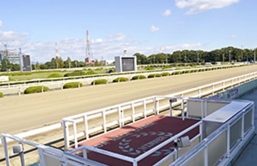 園田競馬場　距離別の特徴