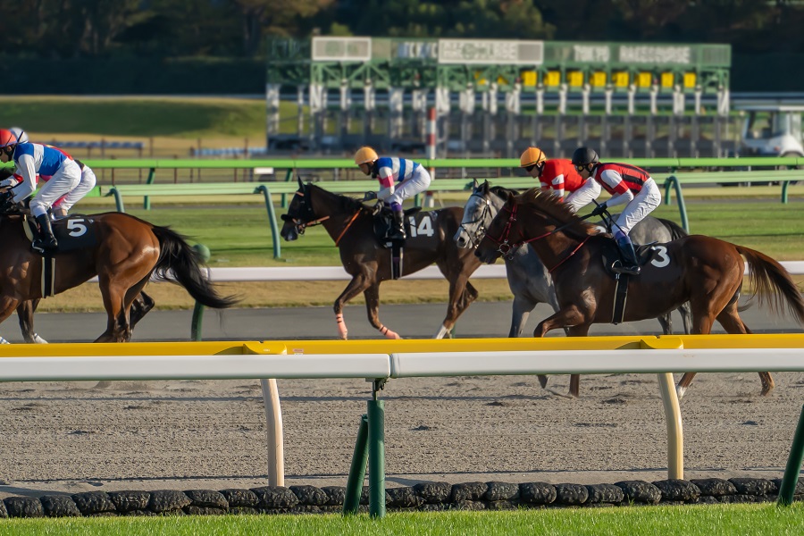 地方競馬で荒れやすい競馬場や荒れやすいレースを紹介！