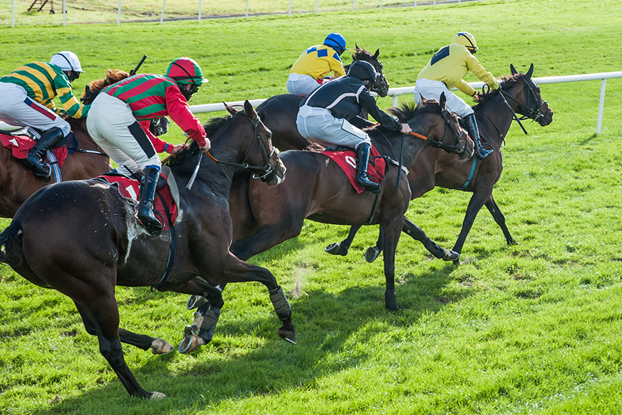 坂のあるコースの特徴とは？JRA全競馬場の攻略法もご紹介！