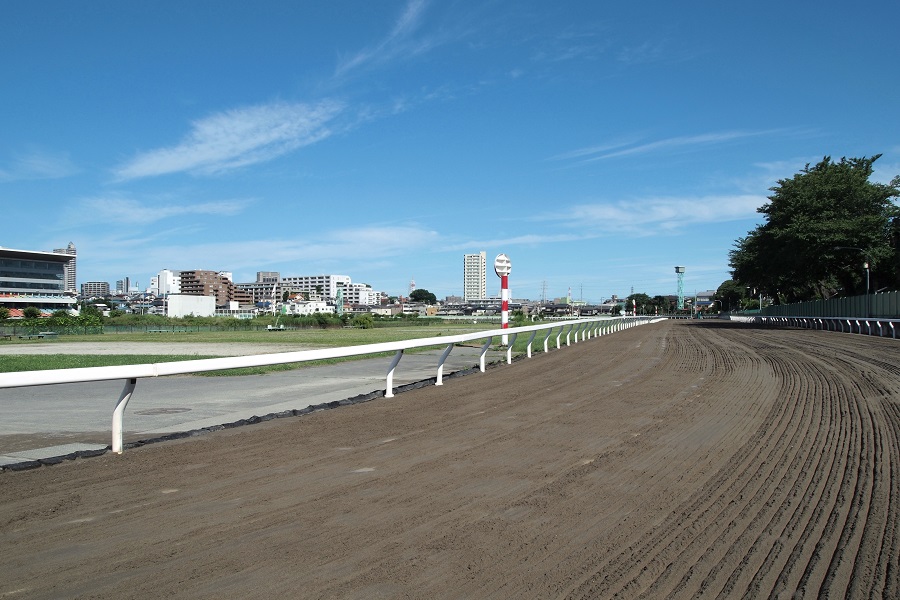 大井競馬場のコース特徴や傾向データを調査！初心者でも勝てる攻略法！