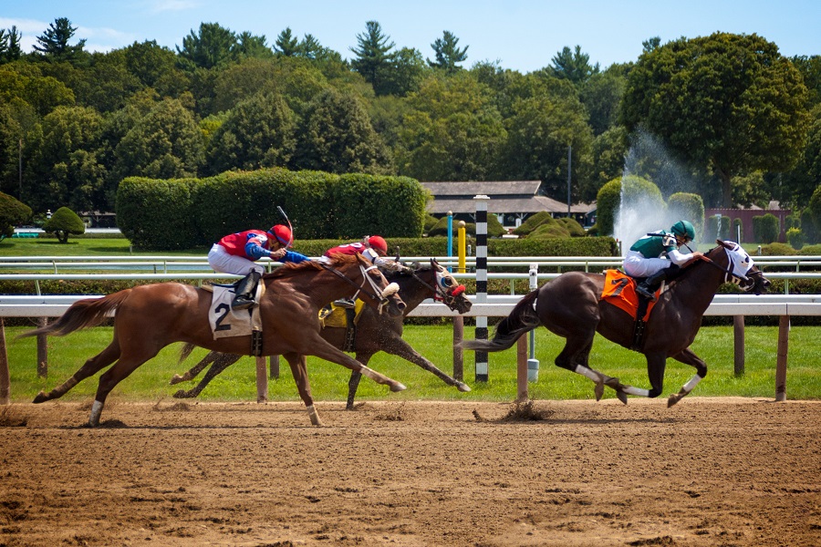 川崎競馬場のコース特徴や傾向データを調査！初心者でも勝てる攻略法！