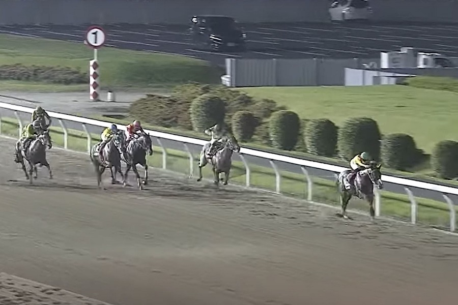 川崎競馬場　距離別の特徴