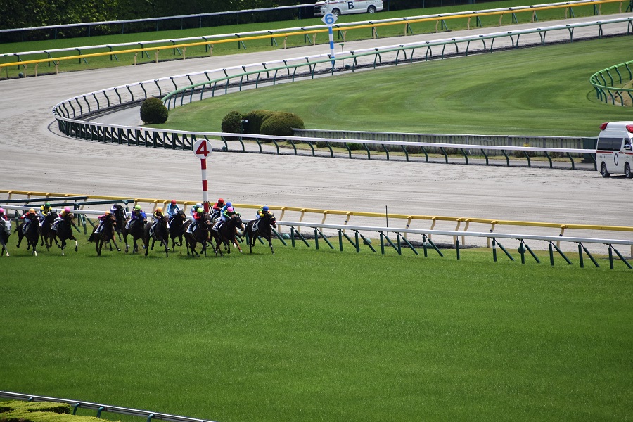 東京競馬場　左回りの競馬場