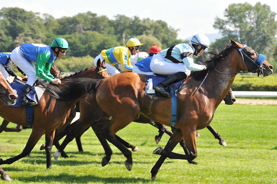 斤量差は競走馬にどのような影響を与える？