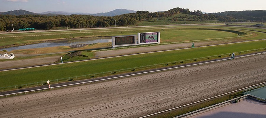 盛岡競馬場のコース