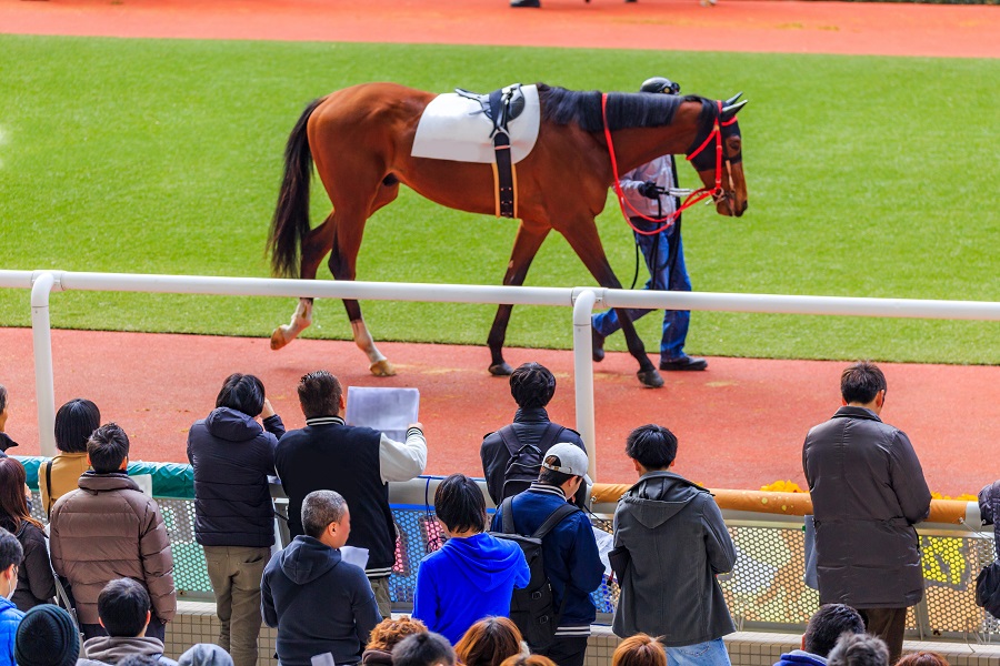 相馬眼を鍛えるうえで欠かせない競走馬の馬体の見方5選