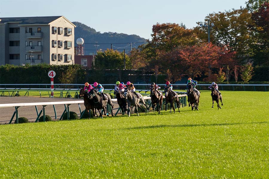 福島競馬場のコース特徴や傾向データを調査！初心者でも勝てる攻略法！