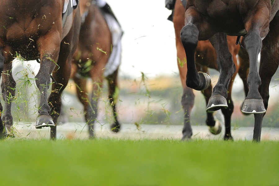 競走馬にも利き脚が存在する