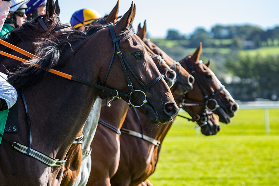 競馬で同着になると馬券の払い戻しはどうなる？3つのケース毎に詳しく解説