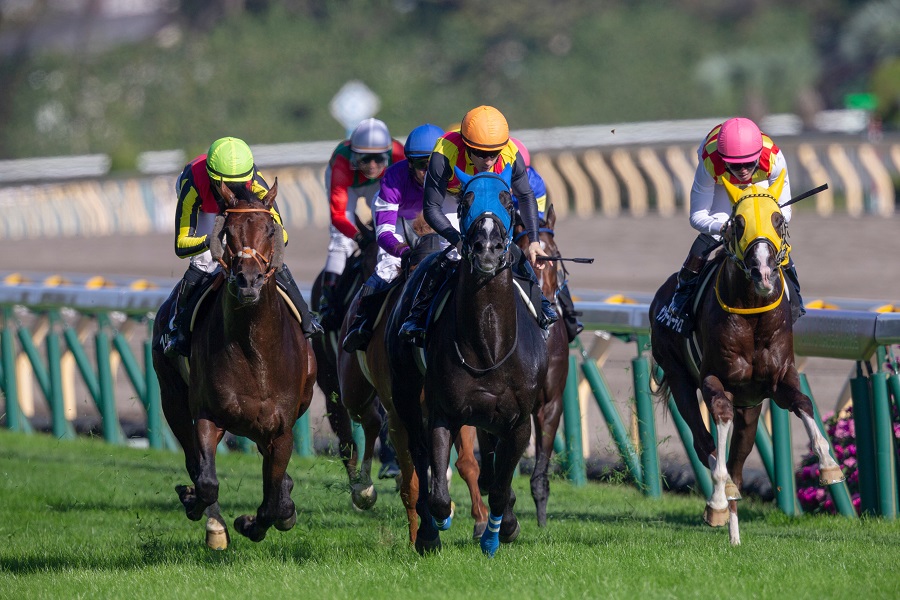 競馬の魅力とは？