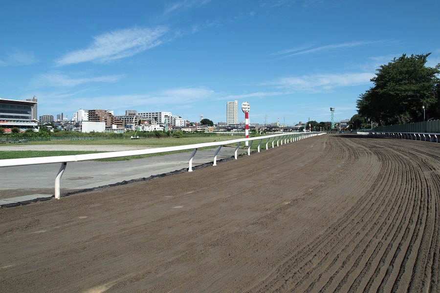 競馬場毎の特徴や癖を理解する