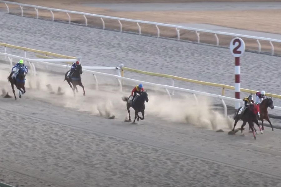 船橋競馬場 距離別の特徴