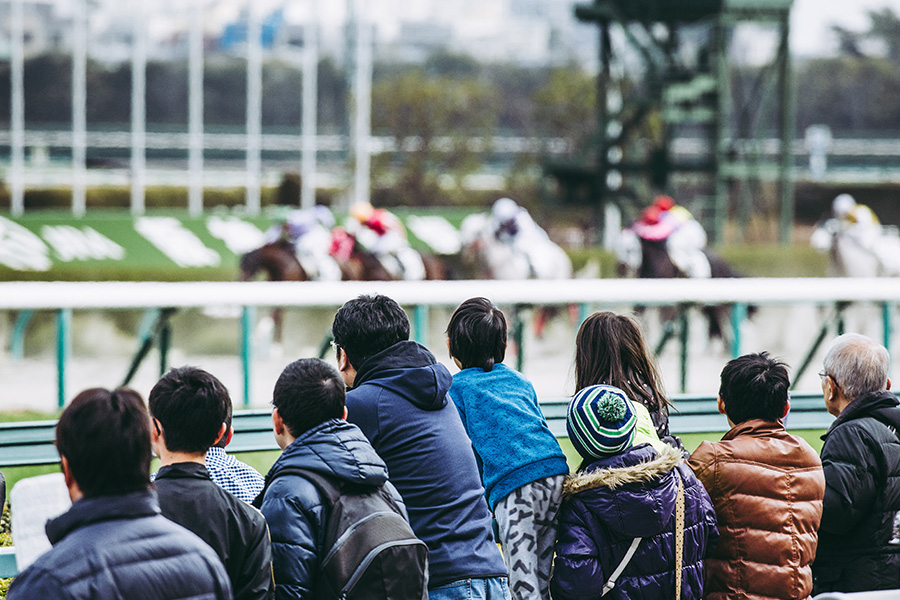 菊花賞の予想に役立つデータを紹介！過去の傾向や要注目馬を解説！