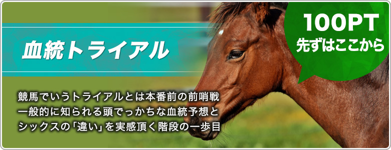 血統トライアル