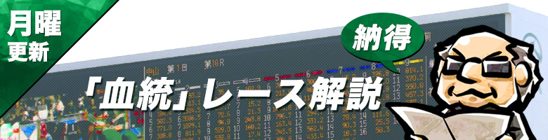血統レース解説