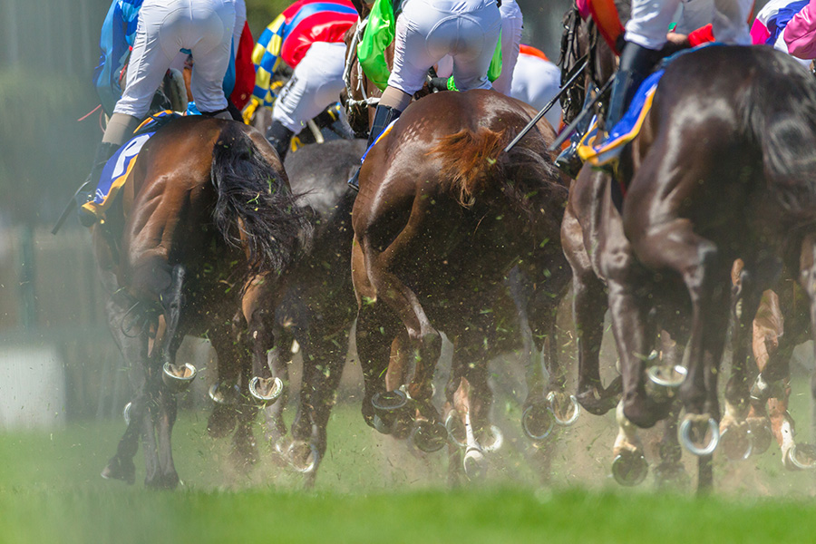 阪神ジュベナイルフィリーズの予想に役立つデータを紹介！過去の傾向や要注目馬を解説！