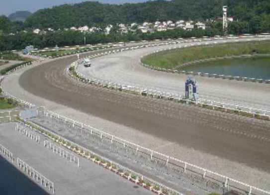 高知競馬場