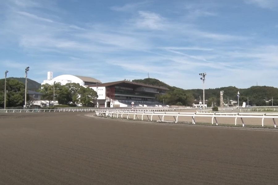 高知競馬場　距離別の特徴